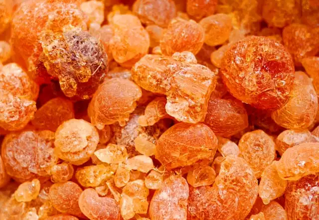  香りのある暮らしで、心を整える