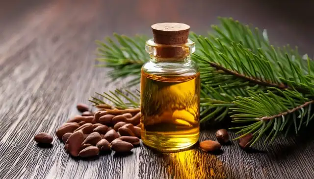 香りは目に見えない手紙